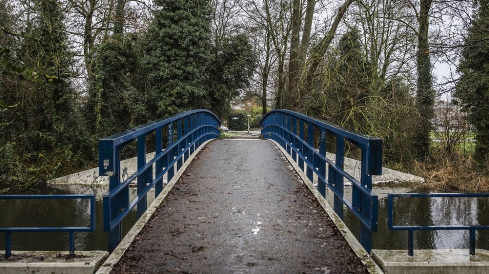 سوريا – ألقت الشرطة القبض على مشتبه به في مقتل مراهقين سوريين بالرصاص في أمستردام