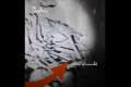 مستثمرو قصور حمص 