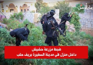 ضبط مزرعة حشيش داخل منزل في مدينة السفيرة بريف حلب الشرقي