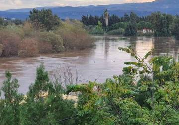 العثور على جثة سوري في النهر الكبير شمال لبنان