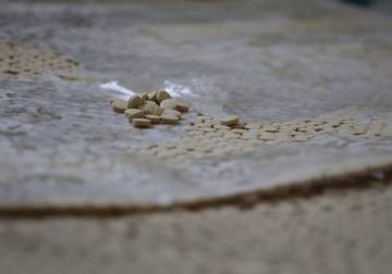 إحباط تهريب 26 ألف حبة كبتاغون في كراج البولمان بحماة