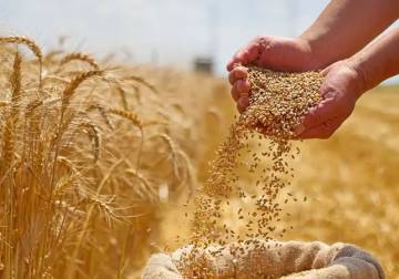 الفاو: ارتفاع أسعار الغذاء 2.9 بالمئة خلال مايو بسبب الحرب على إيران