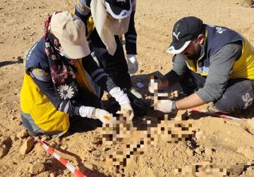 العثور على رفات بشرية في قرية أثرية بريف حماة الشرقي