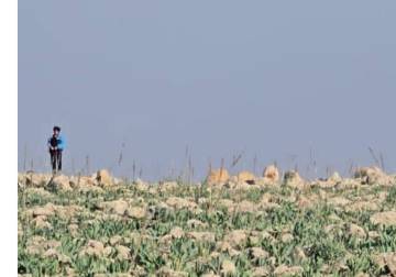 الاحتلال يعتقل شابين من رعاة الأغنام في ريف القنيطرة الجنوبي قبل الإفراج عنهما