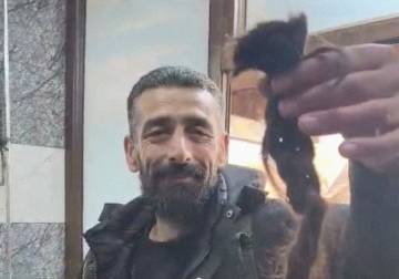 دير شبيغل: ضفيرة زائفة تحرك العالم وجرائم موثقة تتجاهل