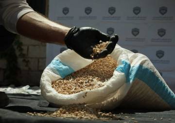 إحباط تهريب كميات كبيرة من المخدرات في ريف السويداء