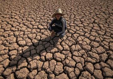 الأمم المتحدة: موجات الحر الشديدة تهدد النظم الغذائية العالمية