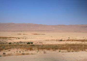 الصيد الجائر في البادية السورية.. غزلان وحبارى وطيور تحت التهديد مستهدفة من