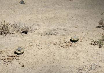 مقتل طفلين وإصابة ثالث بانفجار لغم في ريف الرقة