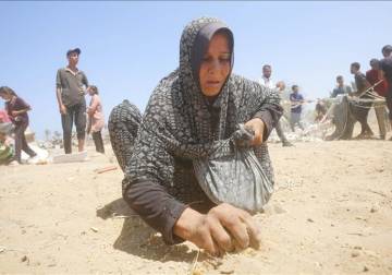 ارتفاع حصيلة وفيات التجويع الإسرائيلي بغزة إلى 367 فلسطينيا