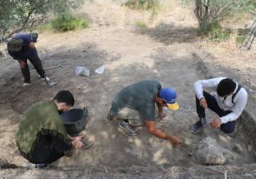 بحثا عن جذور الحضارة.. عودة إلى