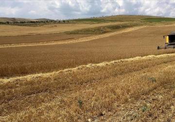 الأمم المتحدة: تضرر خُمس إنتاج الغذاء في تركيا إثر الزلزال