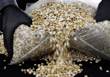 إحباط تهريب أكثر من 335 ألف حبة كبتاغون على أوتوستراد حمص–حماة