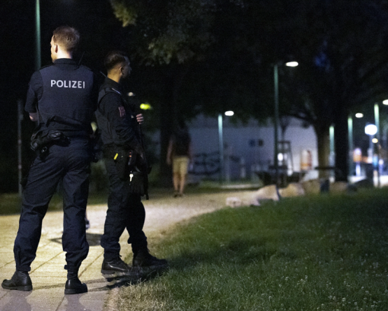 السوريون في النمسا: بين مطرقة 