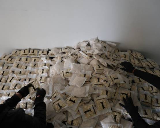 تفكيك شبكات دولية لتهريب المخدرات في عمليات سورية–عراقية مشتركة