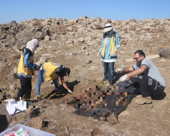 العثور على رفات بشرية قرب مدينة نوى بريف درعا