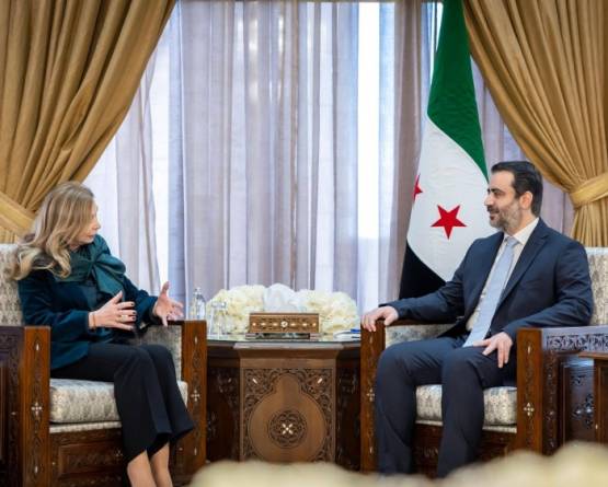 الشيباني يبحث مع وفد أوروبي تعزيز التعاون وعودة اللاجئين