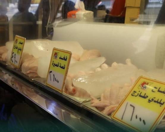 حملة تموينية واسعة في حماة: إغلاق عشرات محال الفروج واللحوم لمخالفة الأسعار