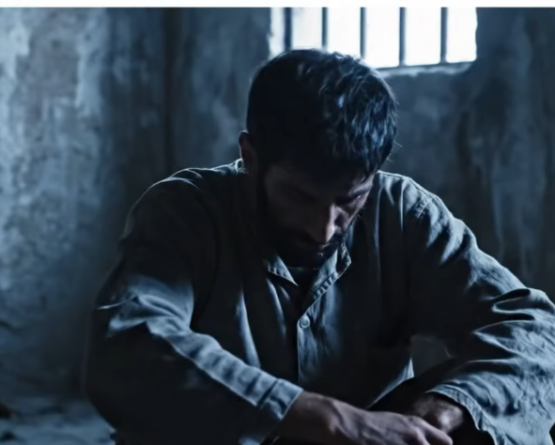 وثيقة المصير.. هل تحول وزارة العدل حق الأهل إلى جريمة إلكترونية؟