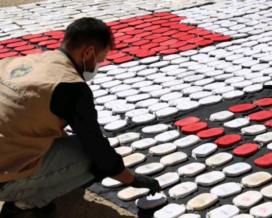 إحباط محاولة تهريب دولية وضبط نصف طن من الحشيش في ريف السويداء