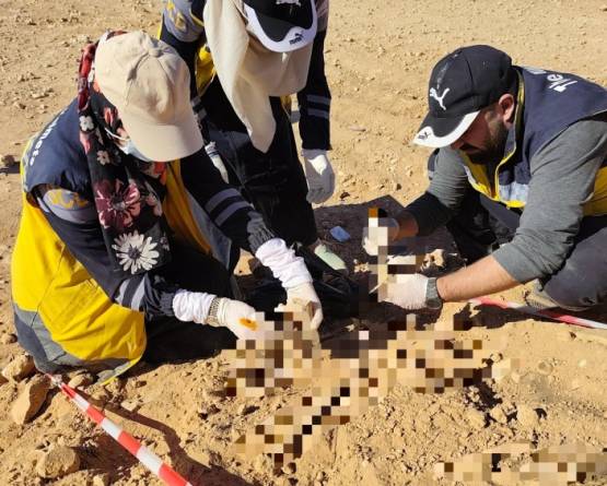 العثور على رفات بشرية في قرية أثرية بريف حماة الشرقي