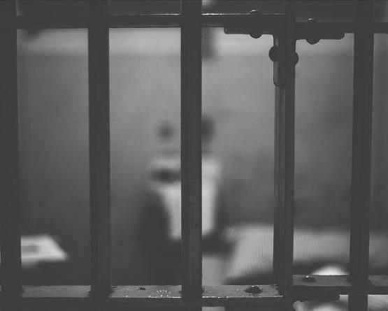 حكاية شهداء على درب الحرية: أنس، ماهر، وباسل في معتقلات الأسد