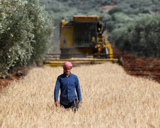 بعد ستة عقود من صدوره… لماذا يثير قانون الإصلاح الزراعي الجدل مجدداً في سوريا؟