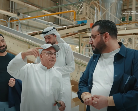 من الإمارات إلى سوريا.. هل آن الأوان لتحديث صناعة التبغ السورية؟