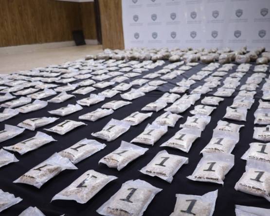 ضبط كميات كبيرة من المخدرات والقبض على شخصين في حلب