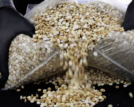 إحباط تهريب أكثر من 335 ألف حبة كبتاغون على أوتوستراد حمص–حماة