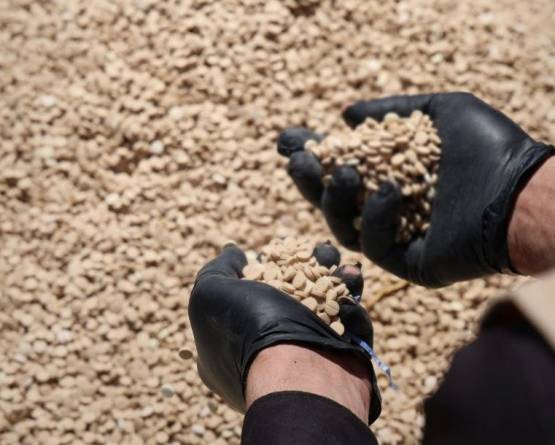 إحباط محاولة تهريب شحنة مخدرات في ريف السويداء الشرقي