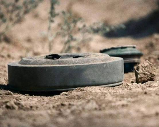 مقتل شابين بانفجار لغم أرضي في ريف حمص الشرقي