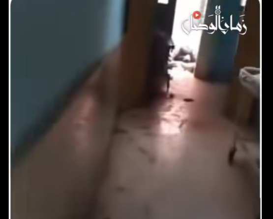 عشرات الجثث داخل مستشفى السويداء