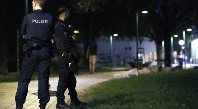 السوريون في النمسا: بين مطرقة 