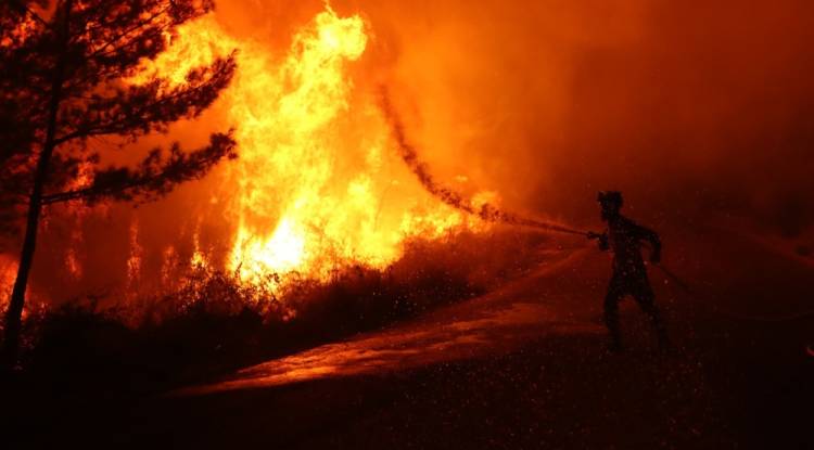 أمطار غزيرة تخمد حرائق غابات رأس البسيط في اللاذقية