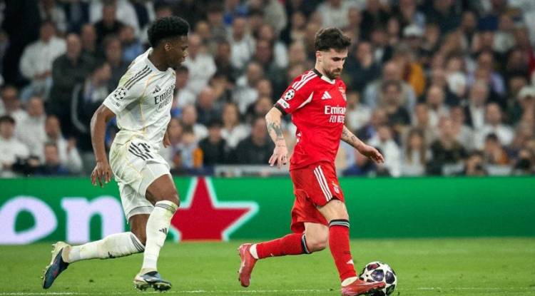 بنفيكا البرتغالي يوقف 5 من أعضاء النادي بسبب سلوك عنصري