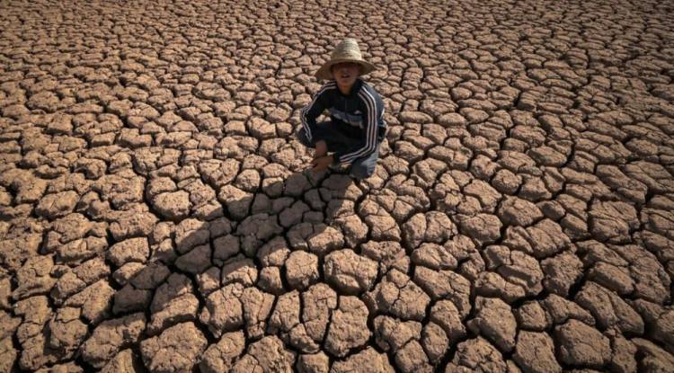 الأمم المتحدة: موجات الحر الشديدة تهدد النظم الغذائية العالمية