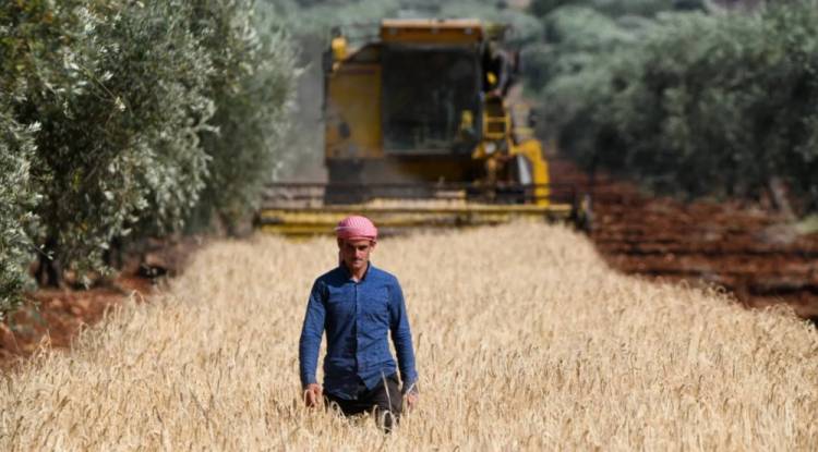 بعد ستة عقود من صدوره… لماذا يثير قانون الإصلاح الزراعي الجدل مجدداً في سوريا؟