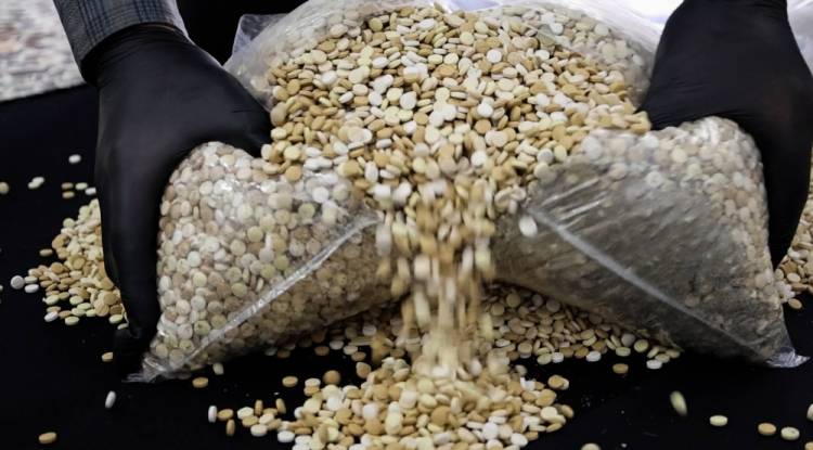 إحباط تهريب أكثر من 335 ألف حبة كبتاغون على أوتوستراد حمص–حماة