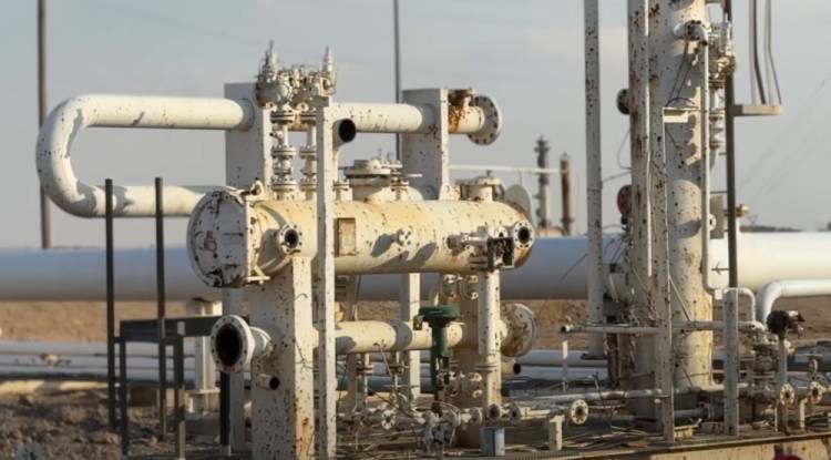 جولة تفقدية لحقل 