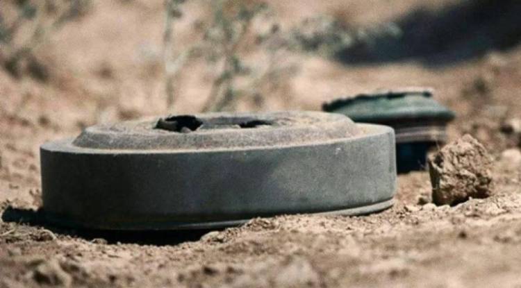 مقتل شابين بانفجار لغم أرضي في ريف حمص الشرقي