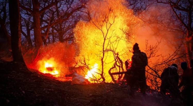 حريق يلتهم غابات إيرانية مدرجة على قائمة التراث العالمي لليونسكو